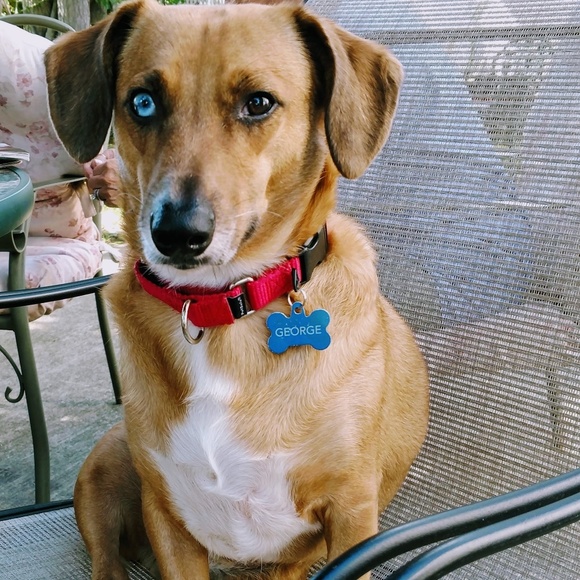 Welcome to our closet. - Picture 4 of 9